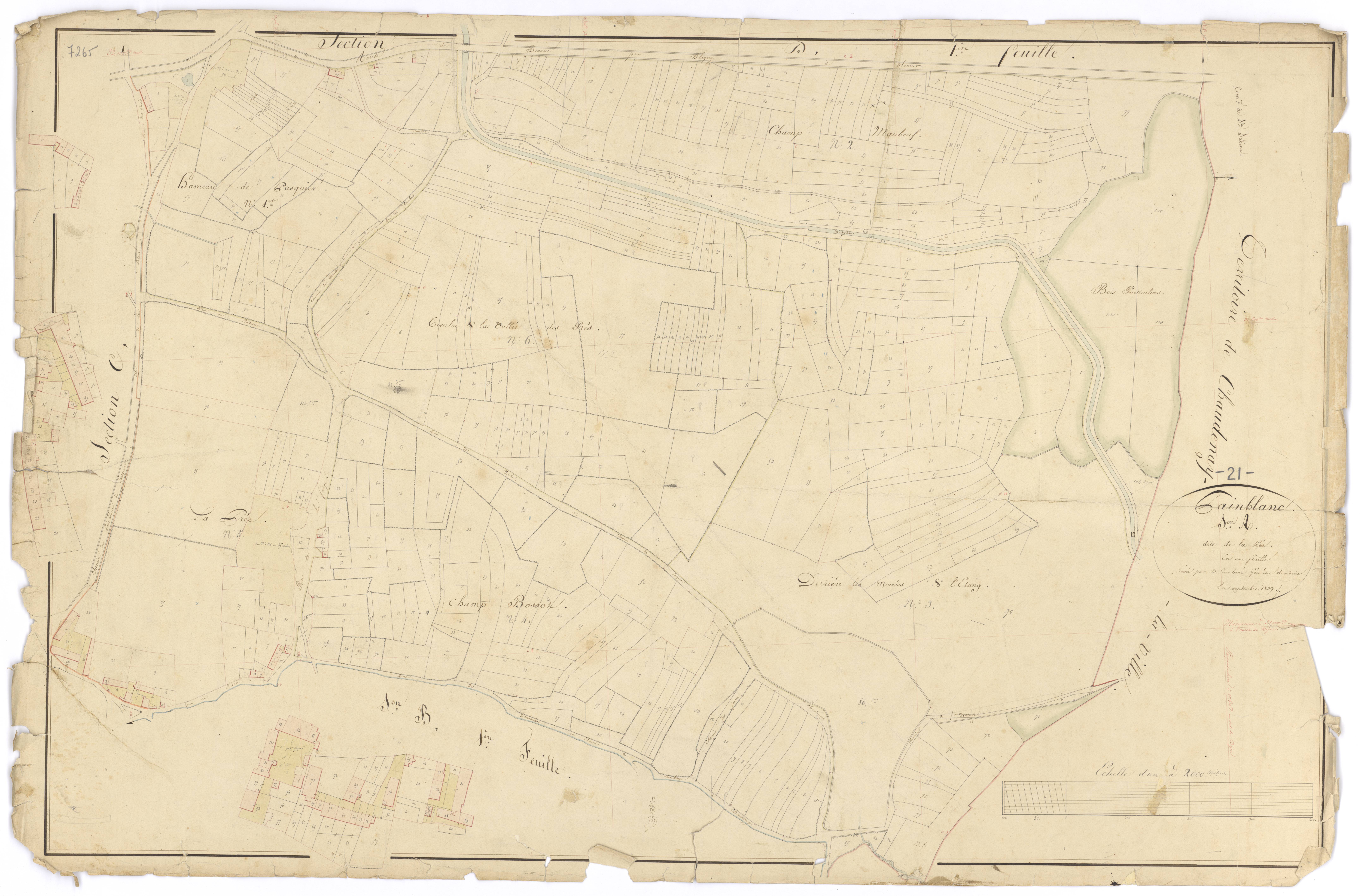 Painblanc - Section A - 3 P PLAN 475/3