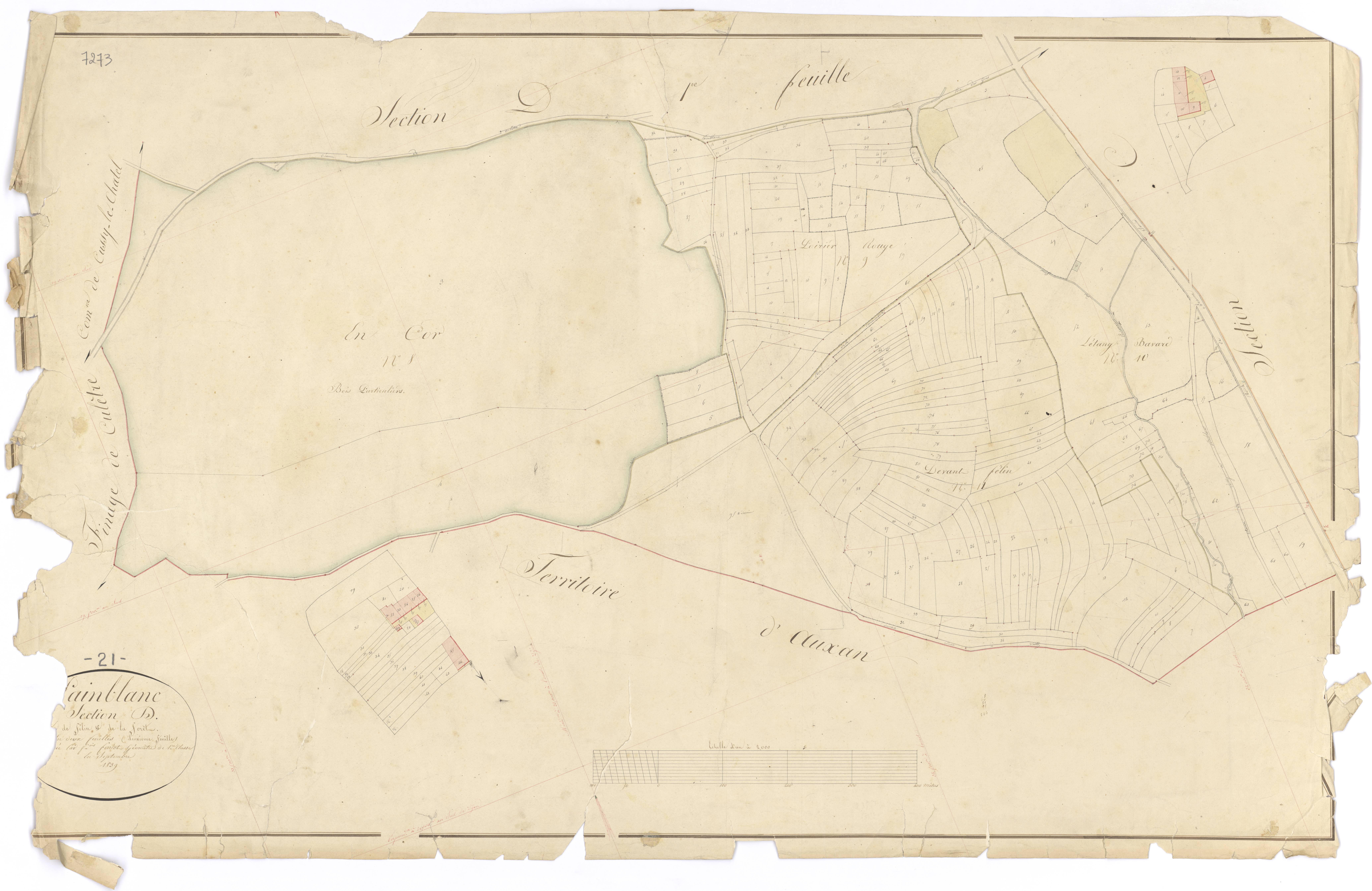 Painblanc - Section D2 - 3 P PLAN 475/11