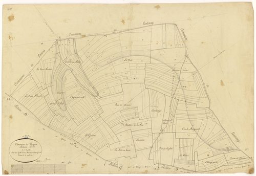 Pasques - Section C - 3 P PLAN 477/5