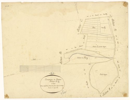 Pasques - Section D2 - 3 P PLAN 477/7