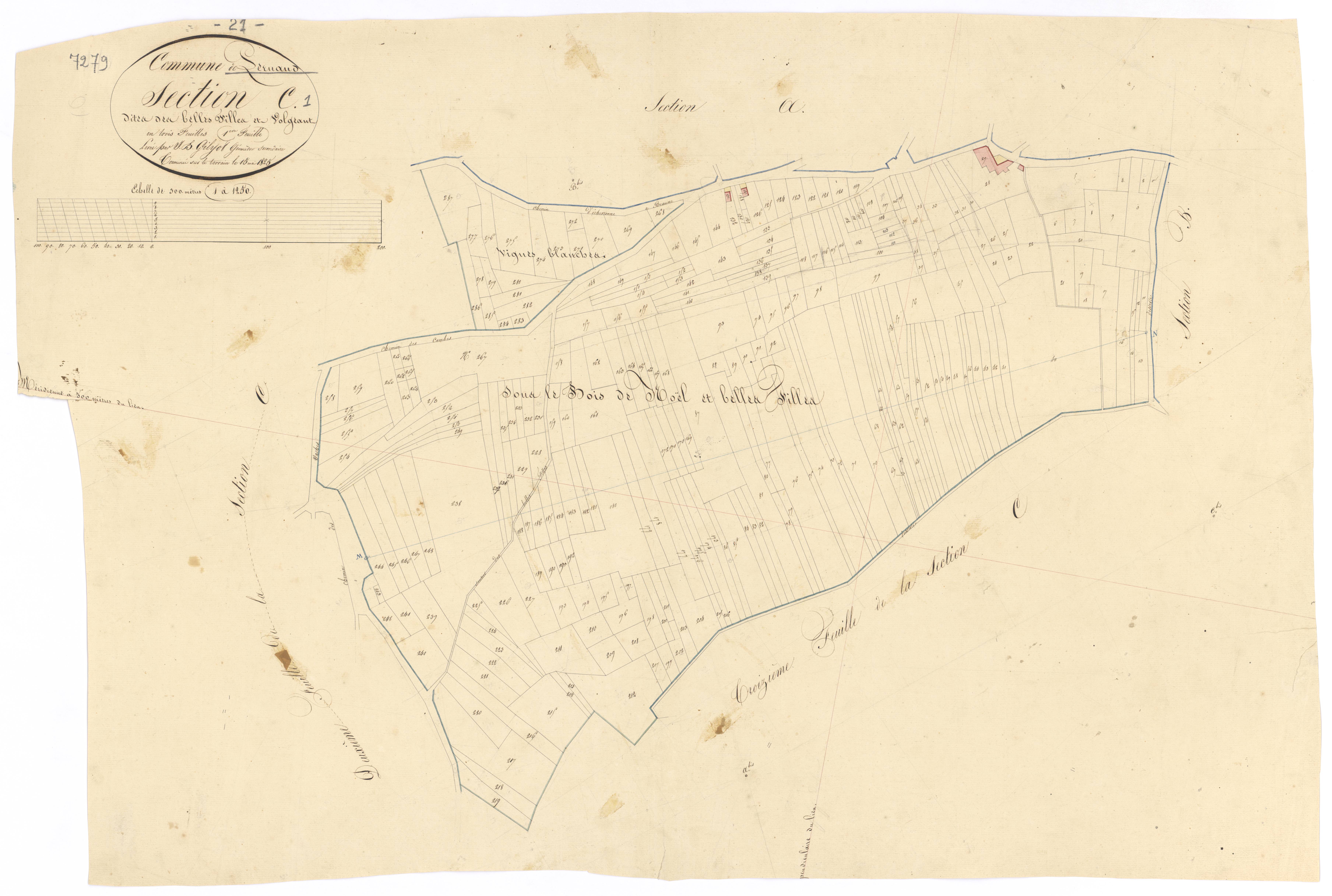 Pernand-Vergelesses - Section C1 - 3 P PLAN 479/6