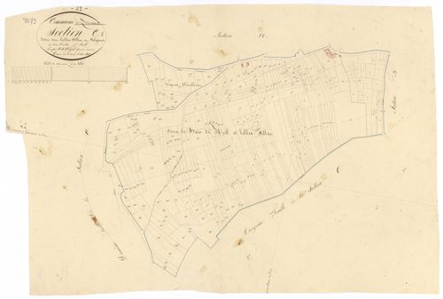 Pernand-Vergelesses - Section C1 - 3 P PLAN 479/6