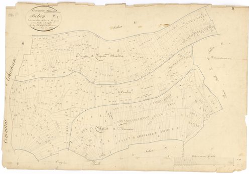 Pernand-Vergelesses - Section C2 - 3 P PLAN 479/7