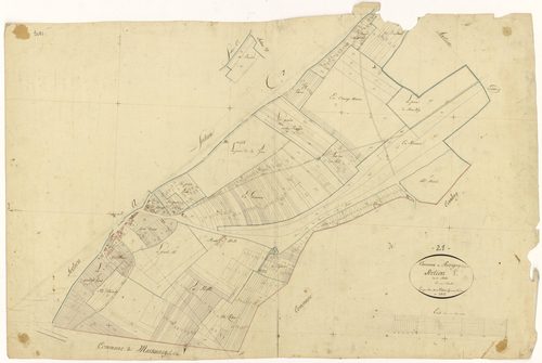 Perrigny-lès-Dijon - Section E - 3 P PLAN 481/6