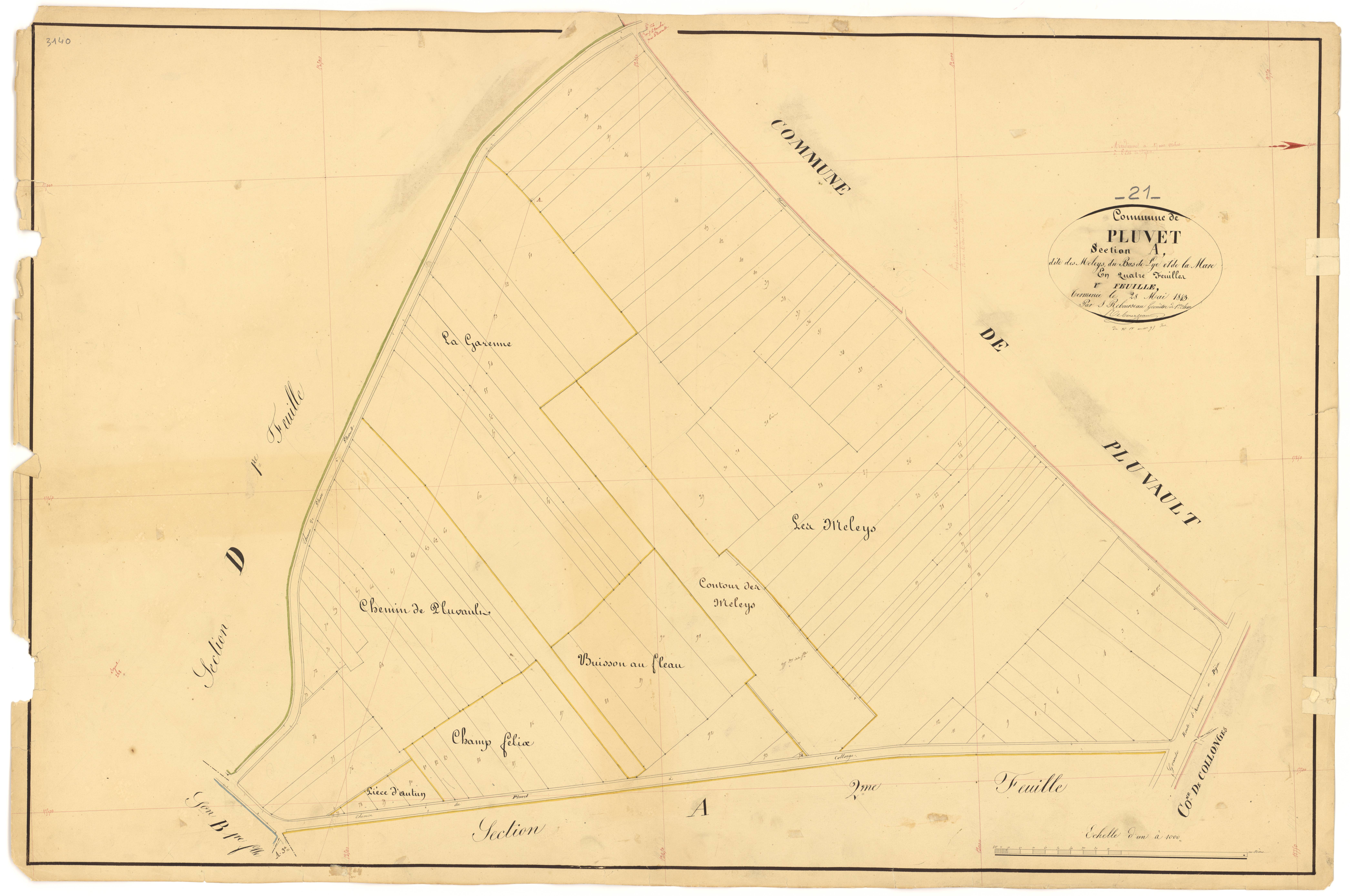Pluvet - Section A1 - 3 P PLAN 487/2
