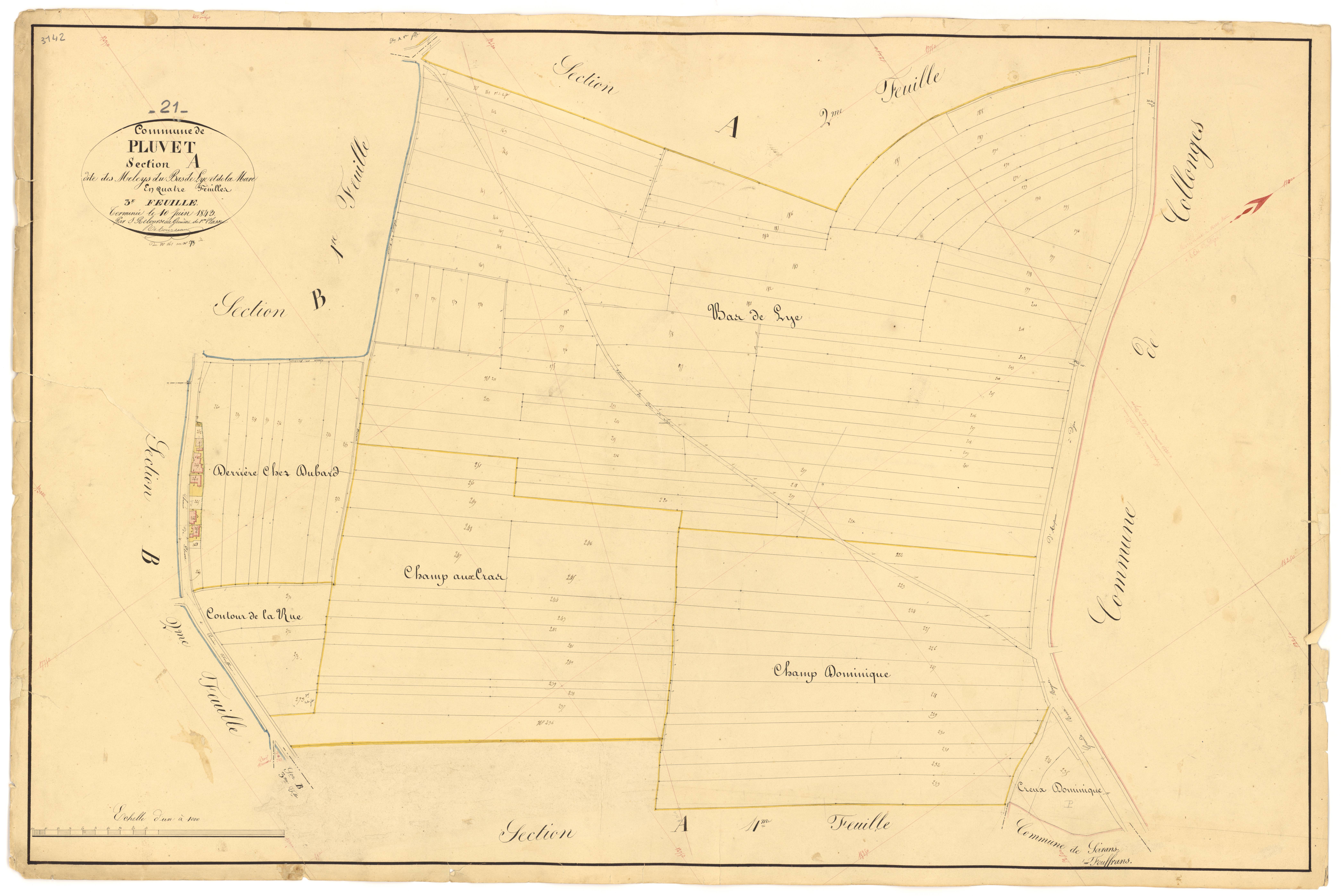 Pluvet - Section A3 - 3 P PLAN 487/4