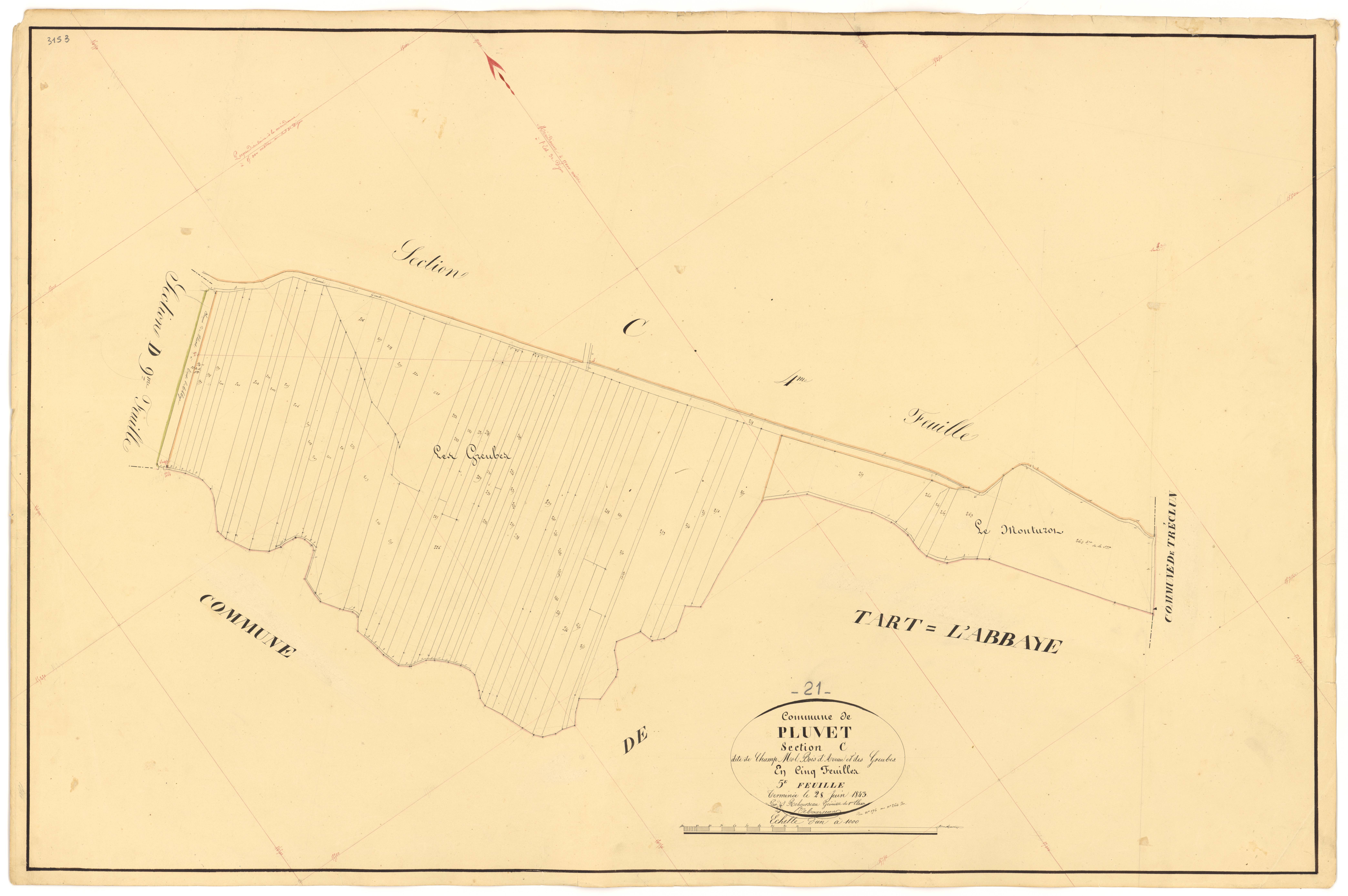 Pluvet - Section C5 - 3 P PLAN 487/15