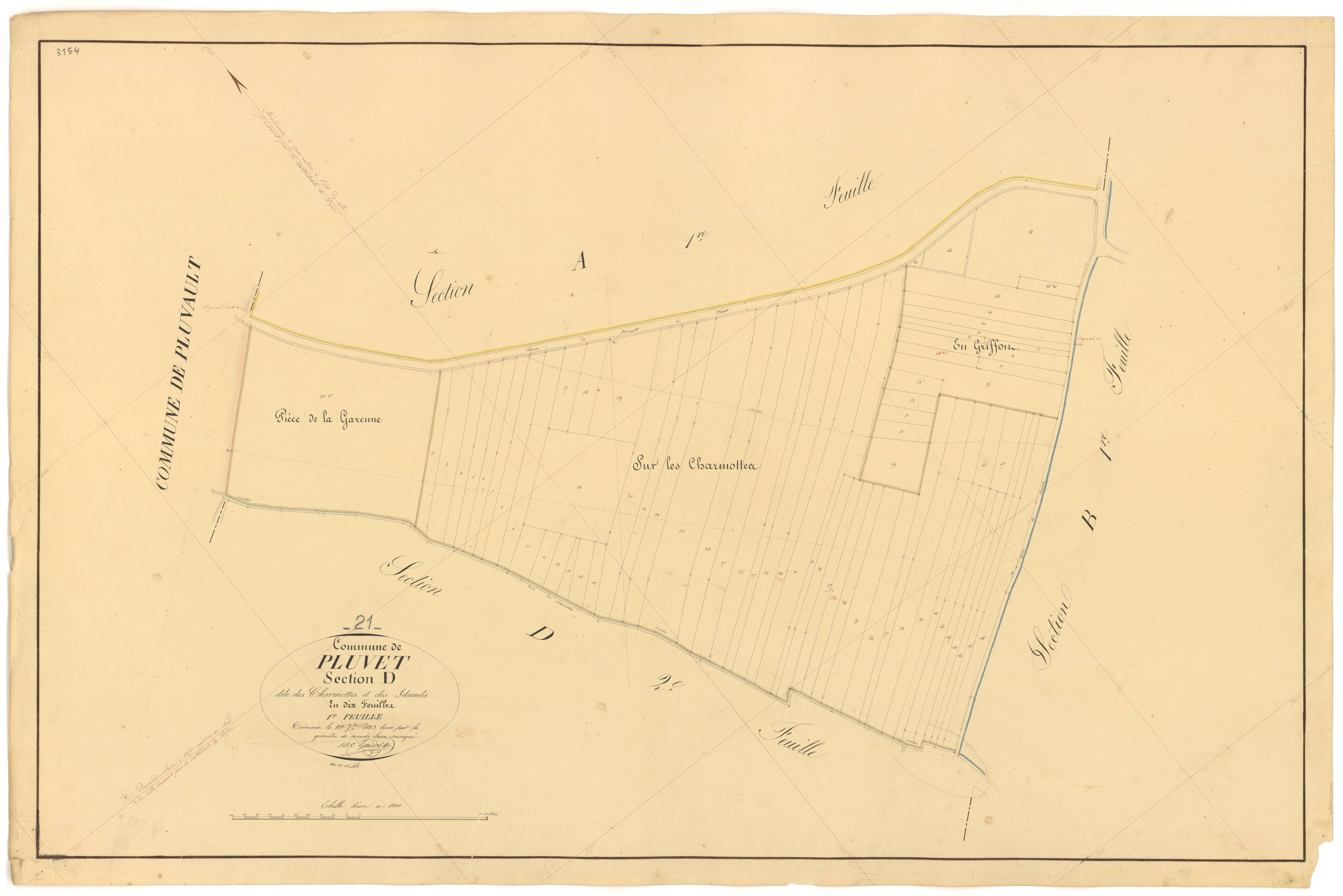 Pluvet - Section D1 - 3 P PLAN 487/16