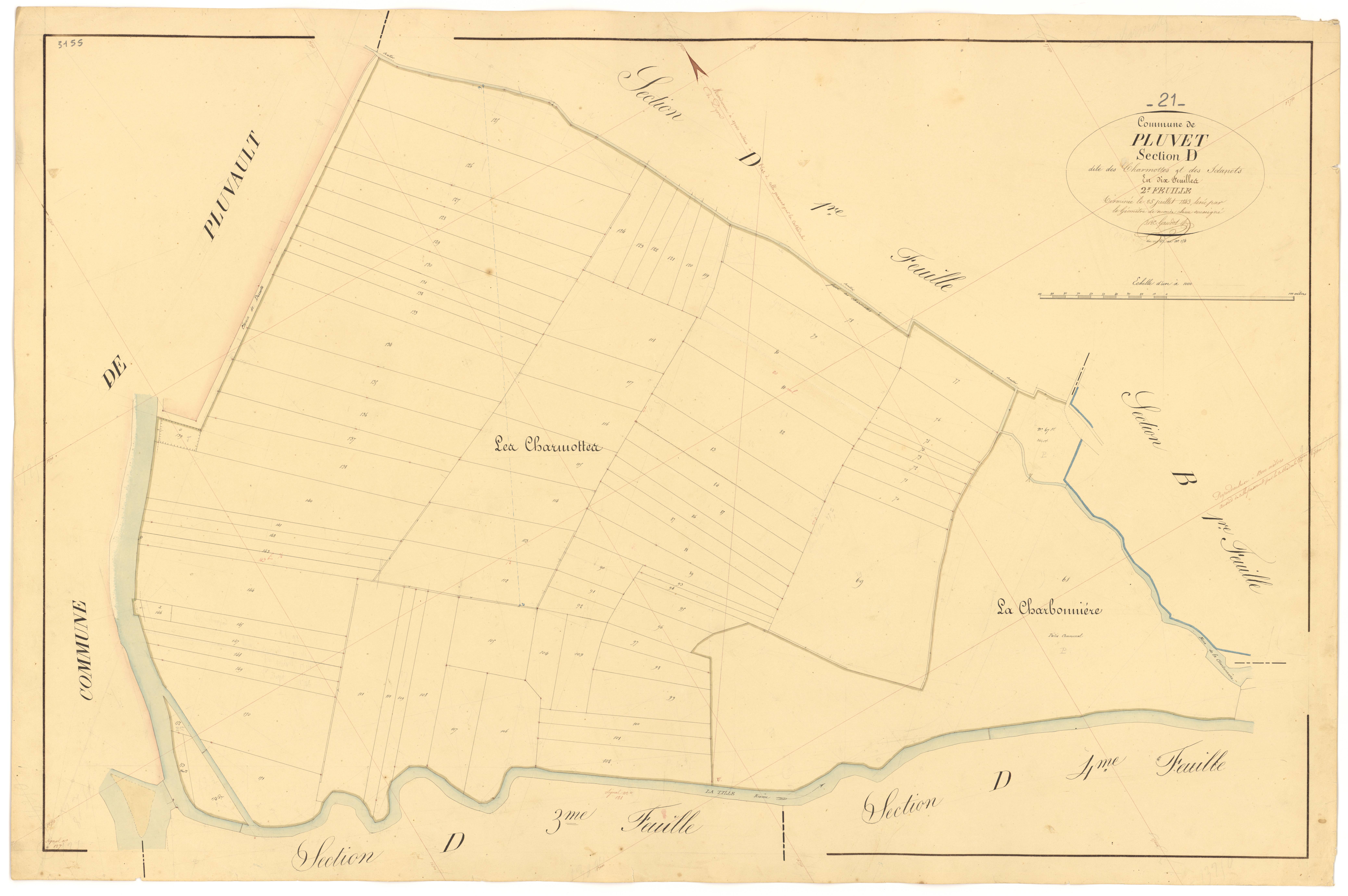 Pluvet - Section D2 - 3 P PLAN 487/17