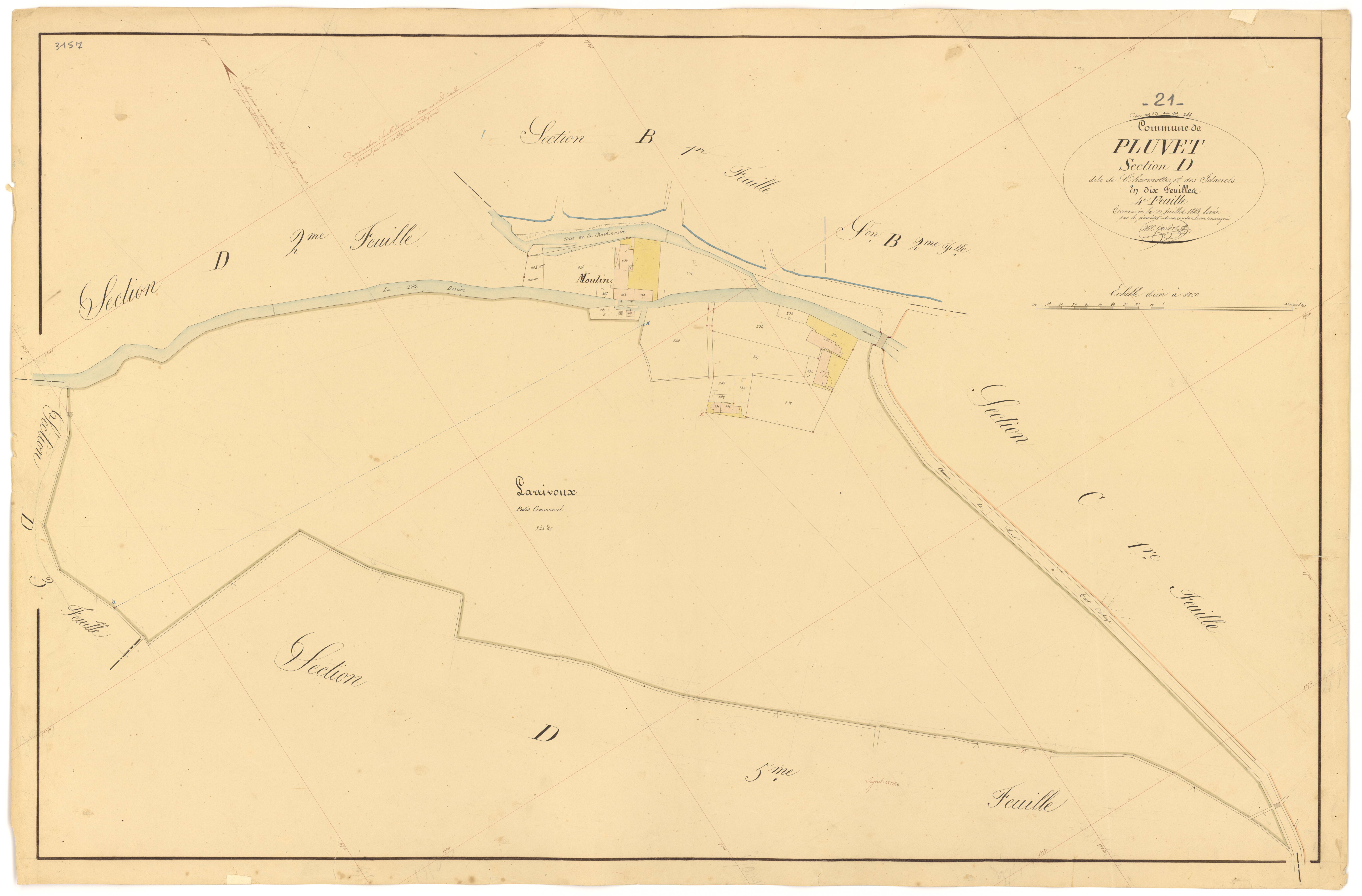 Pluvet - Section D4 - 3 P PLAN 487/19