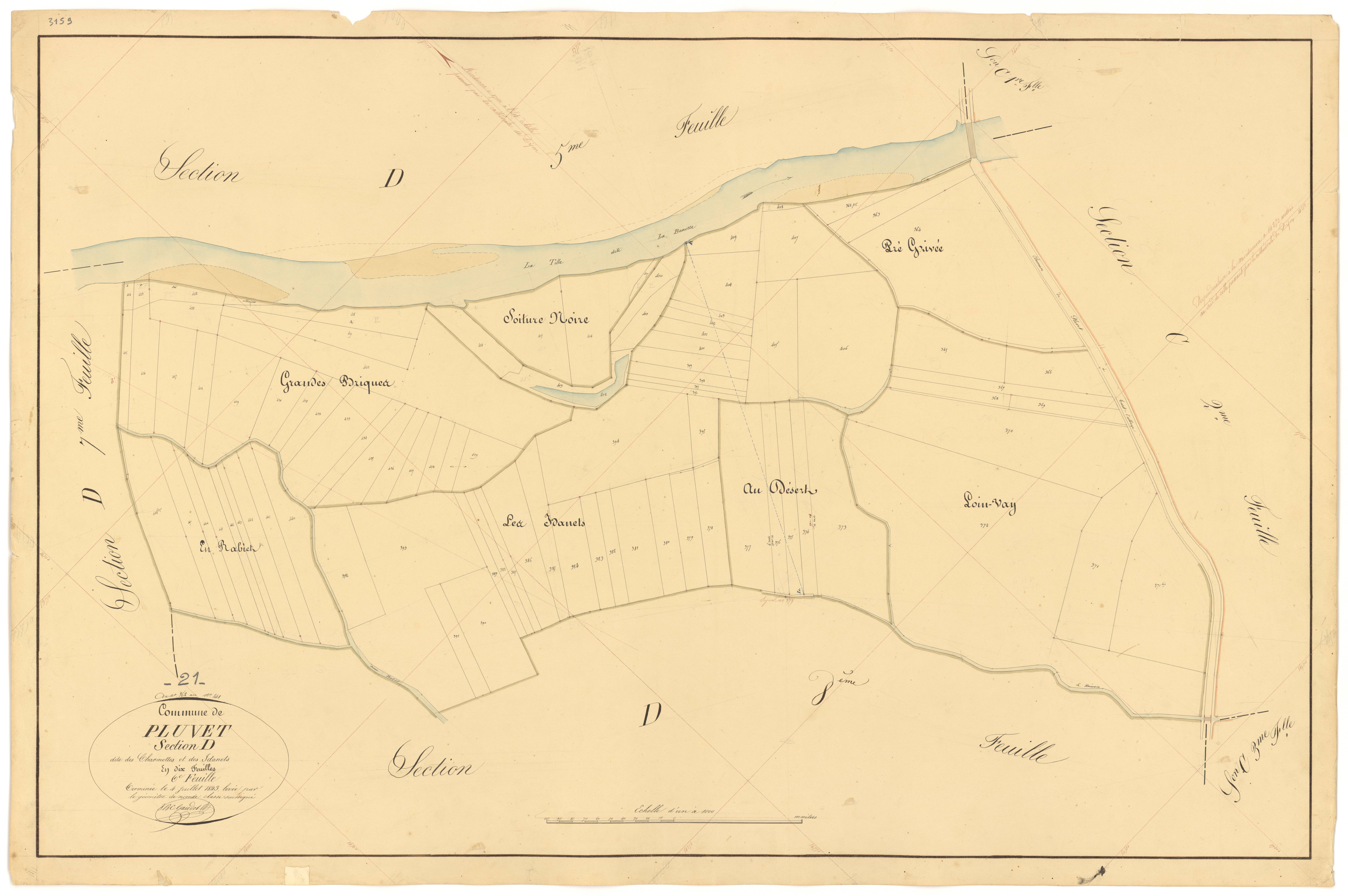 Pluvet - Section D6 - 3 P PLAN 487/21