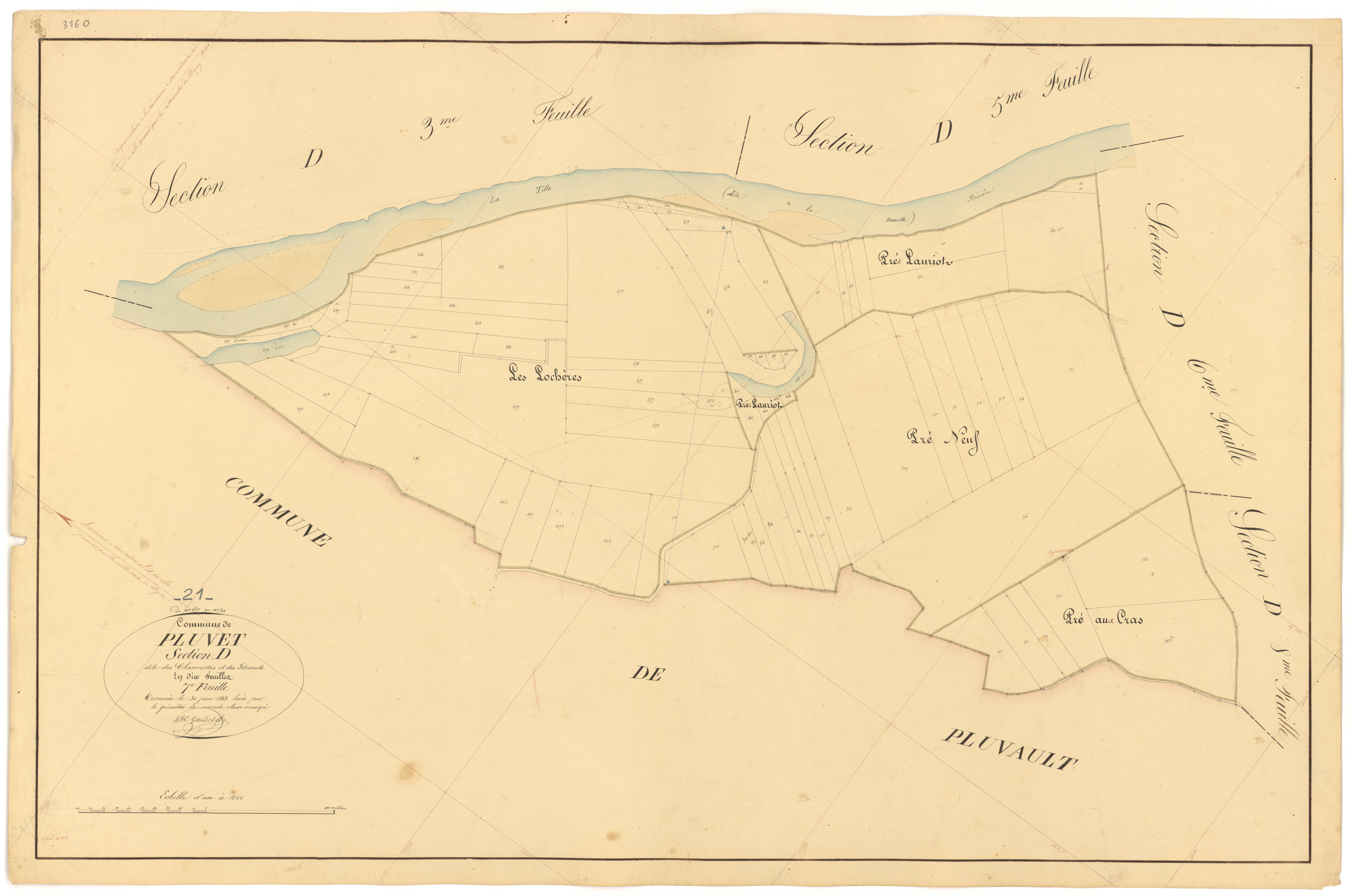 Pluvet - Section D7 - 3 P PLAN 487/22