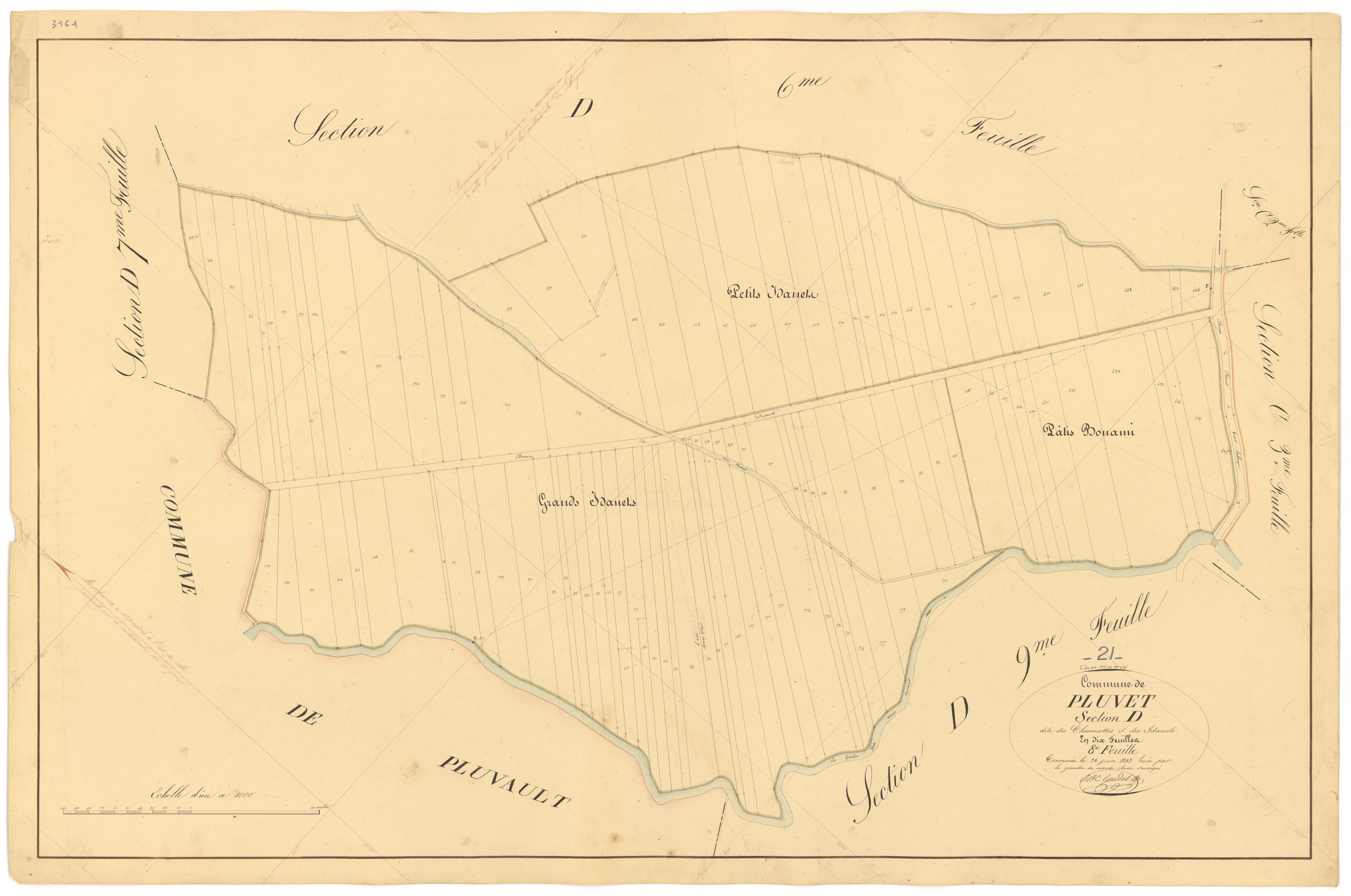 Pluvet - Section D8 - 3 P PLAN 487/23