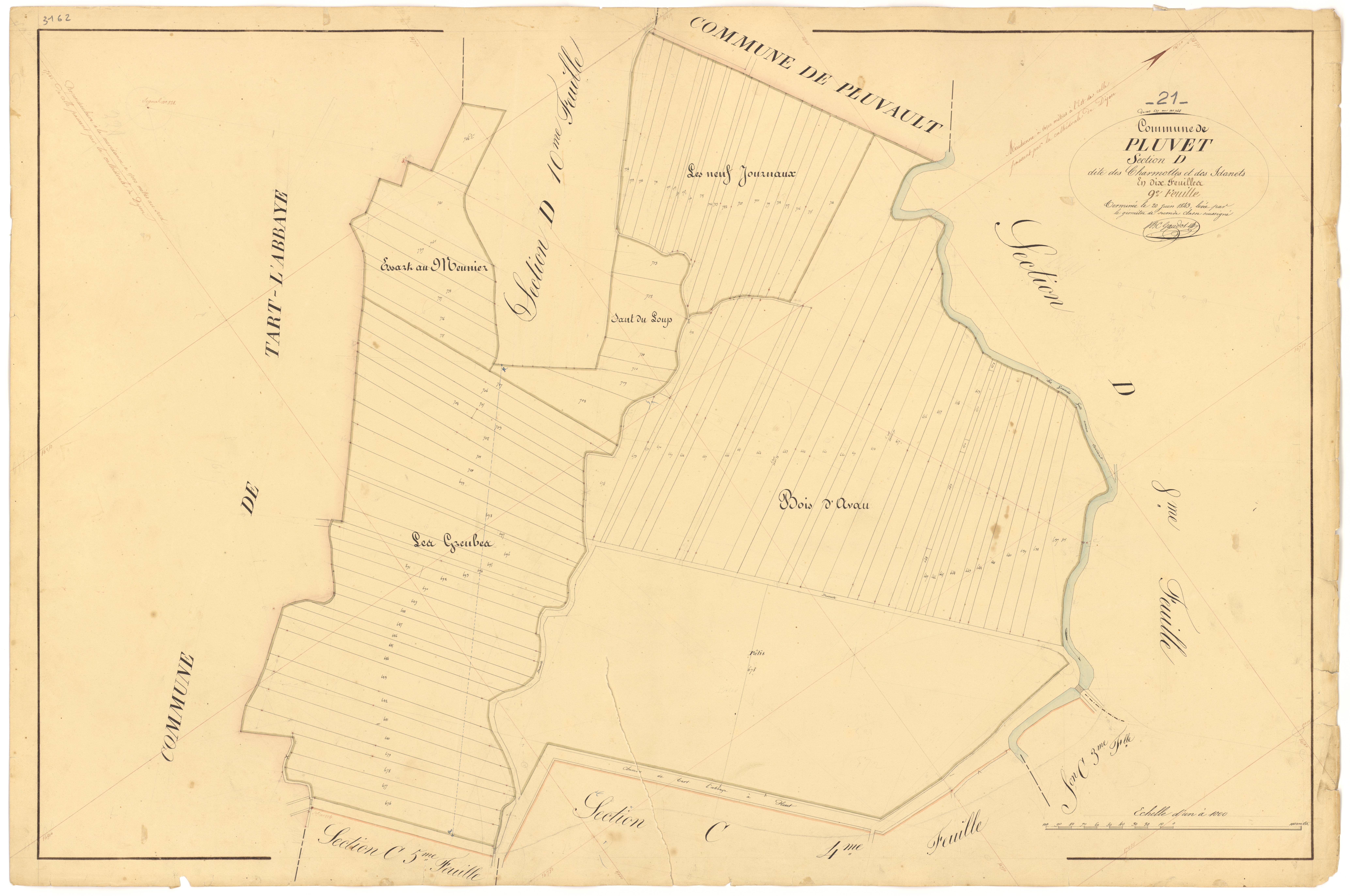 Pluvet - Section D9 - 3 P PLAN 487/24