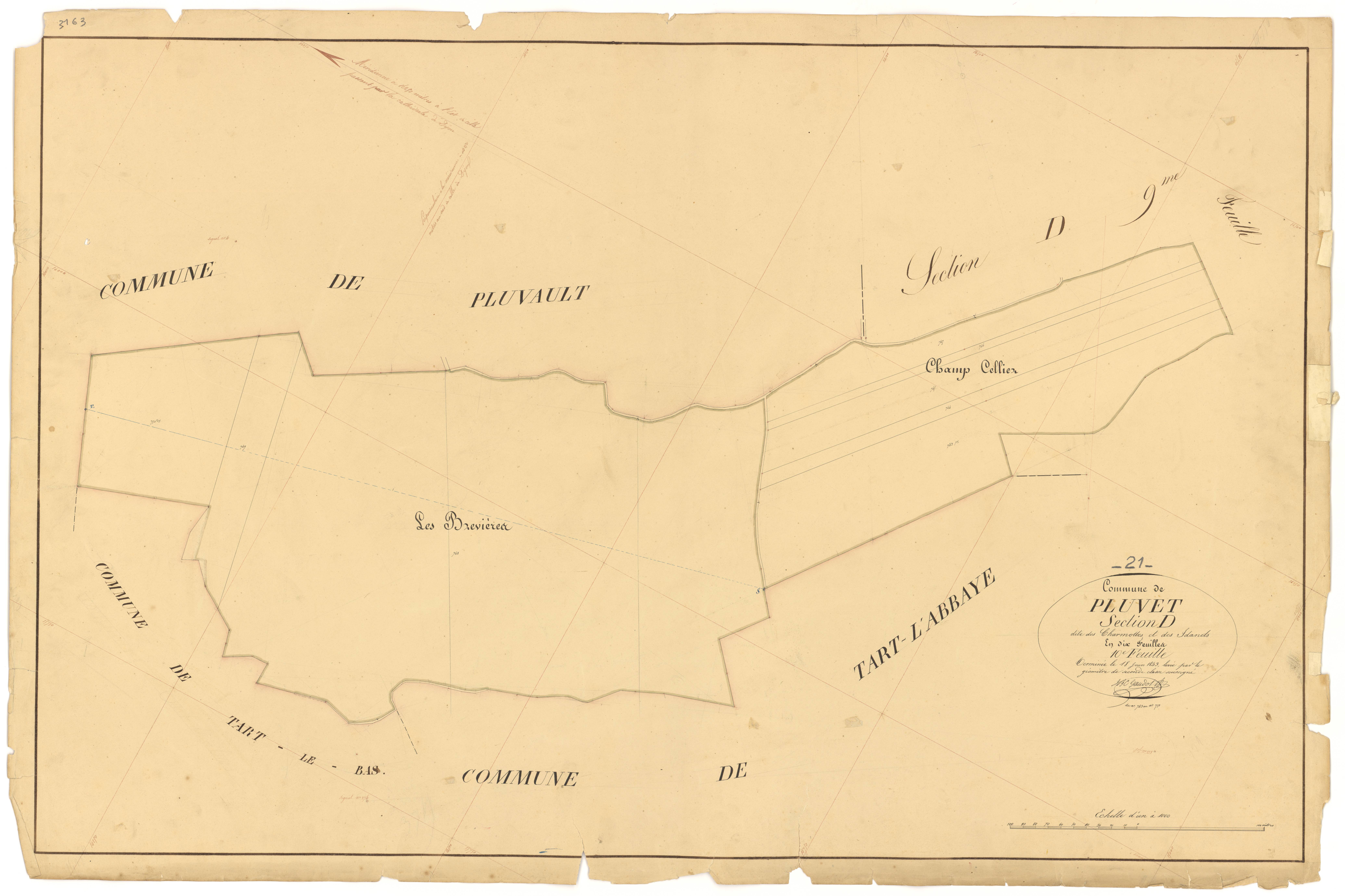 Pluvet - Section D10 - 3 P PLAN 487/25
