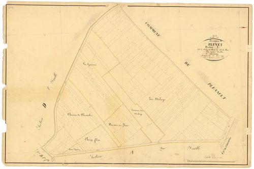 Pluvet - Section A1 - 3 P PLAN 487/2