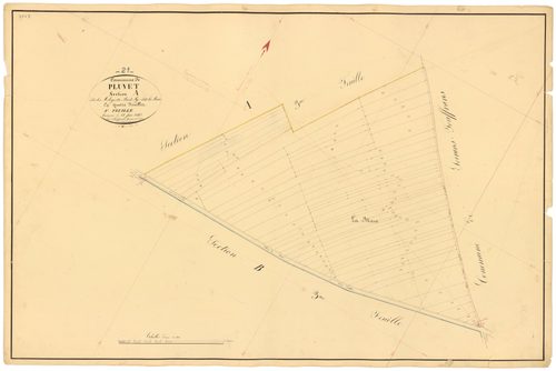 Pluvet - Section A4 - 3 P PLAN 487/5
