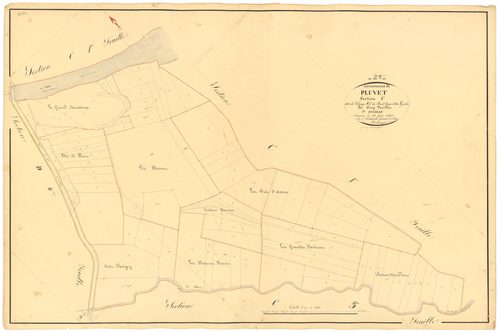 Pluvet - Section C2 - 3 P PLAN 487/12