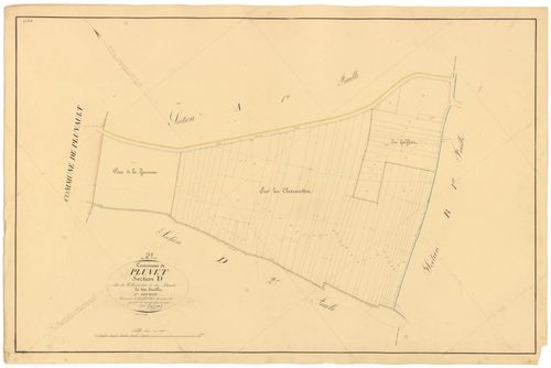 Pluvet - Section D1 - 3 P PLAN 487/16