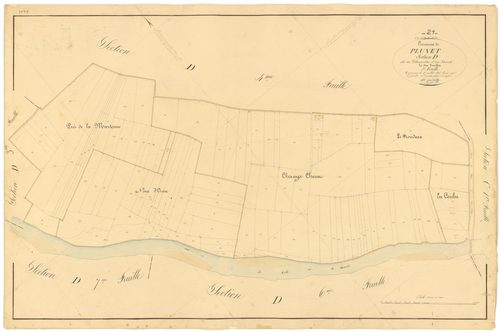 Pluvet - Section D5 - 3 P PLAN 487/20