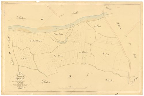 Pluvet - Section D6 - 3 P PLAN 487/21