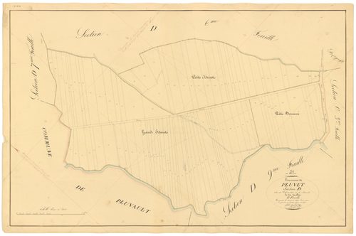 Pluvet - Section D8 - 3 P PLAN 487/23
