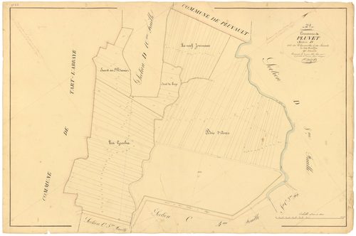 Pluvet - Section D9 - 3 P PLAN 487/24