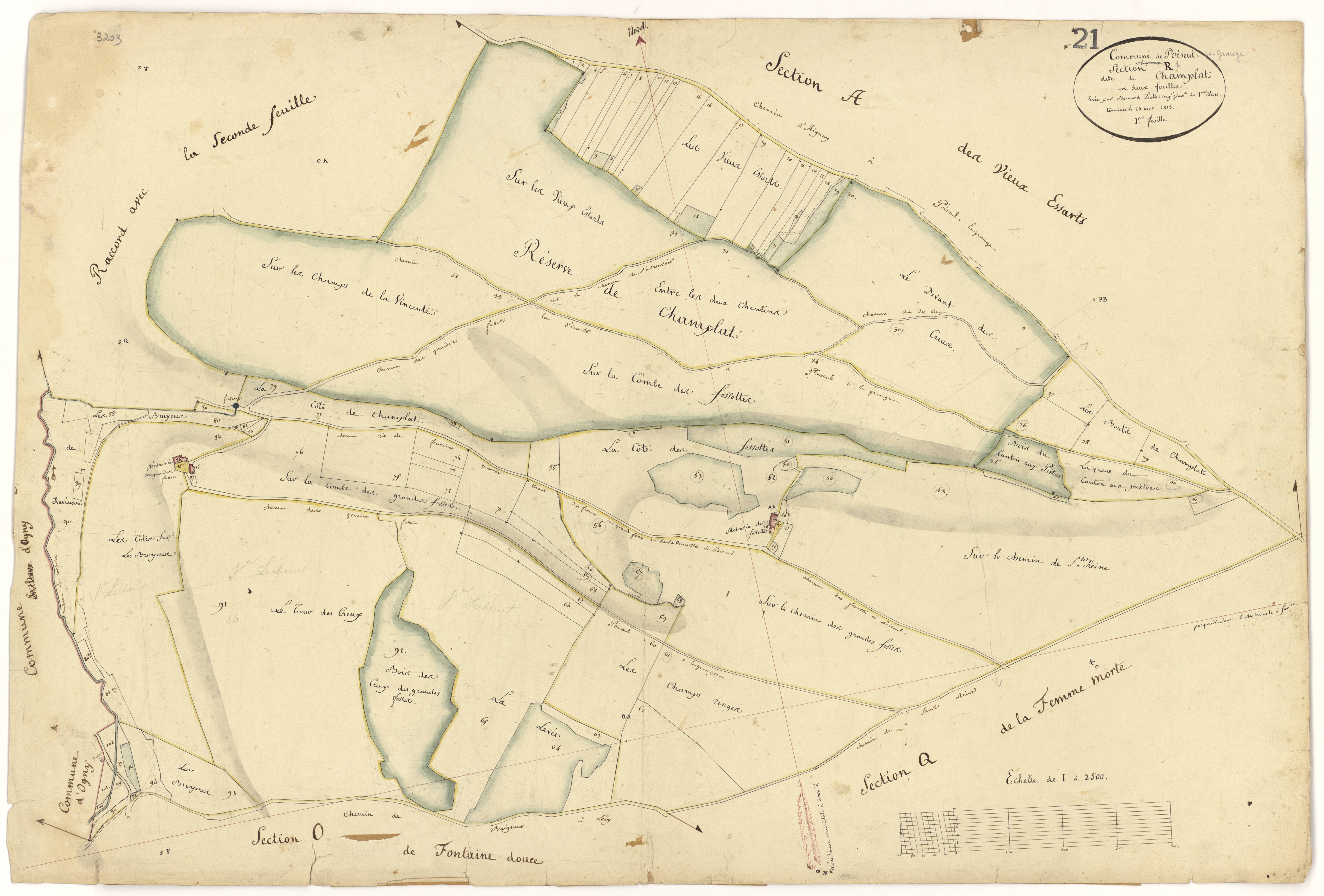 Poiseul-la-Grange - Section R1 - 3 P PLAN 489/20