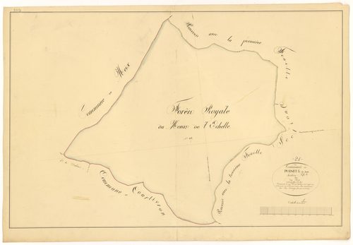 Poiseul-lès-Saulx - Section A2 - 3 P PLAN 491/3