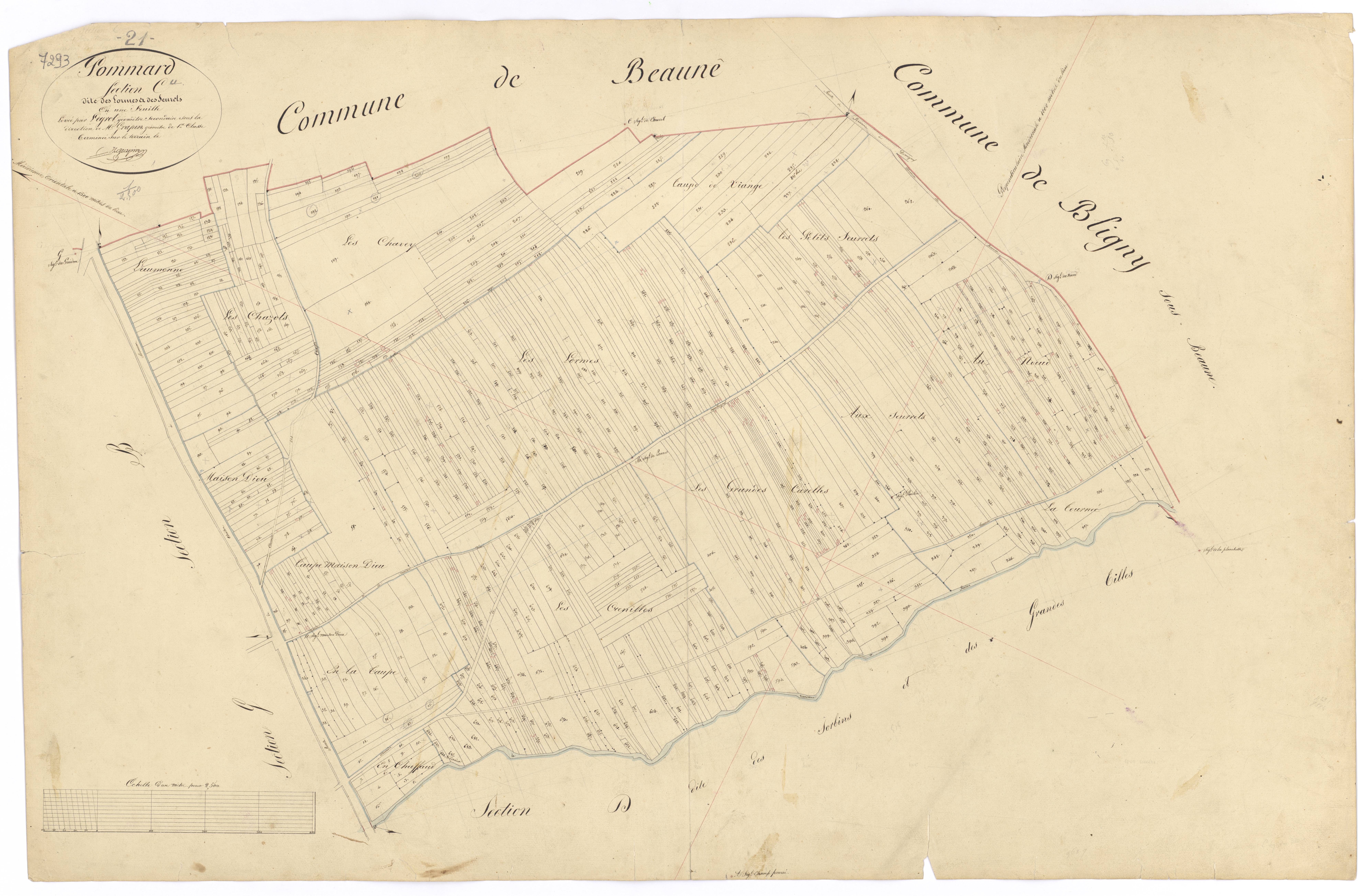 Pommard - Section C - 3 P PLAN 492/5
