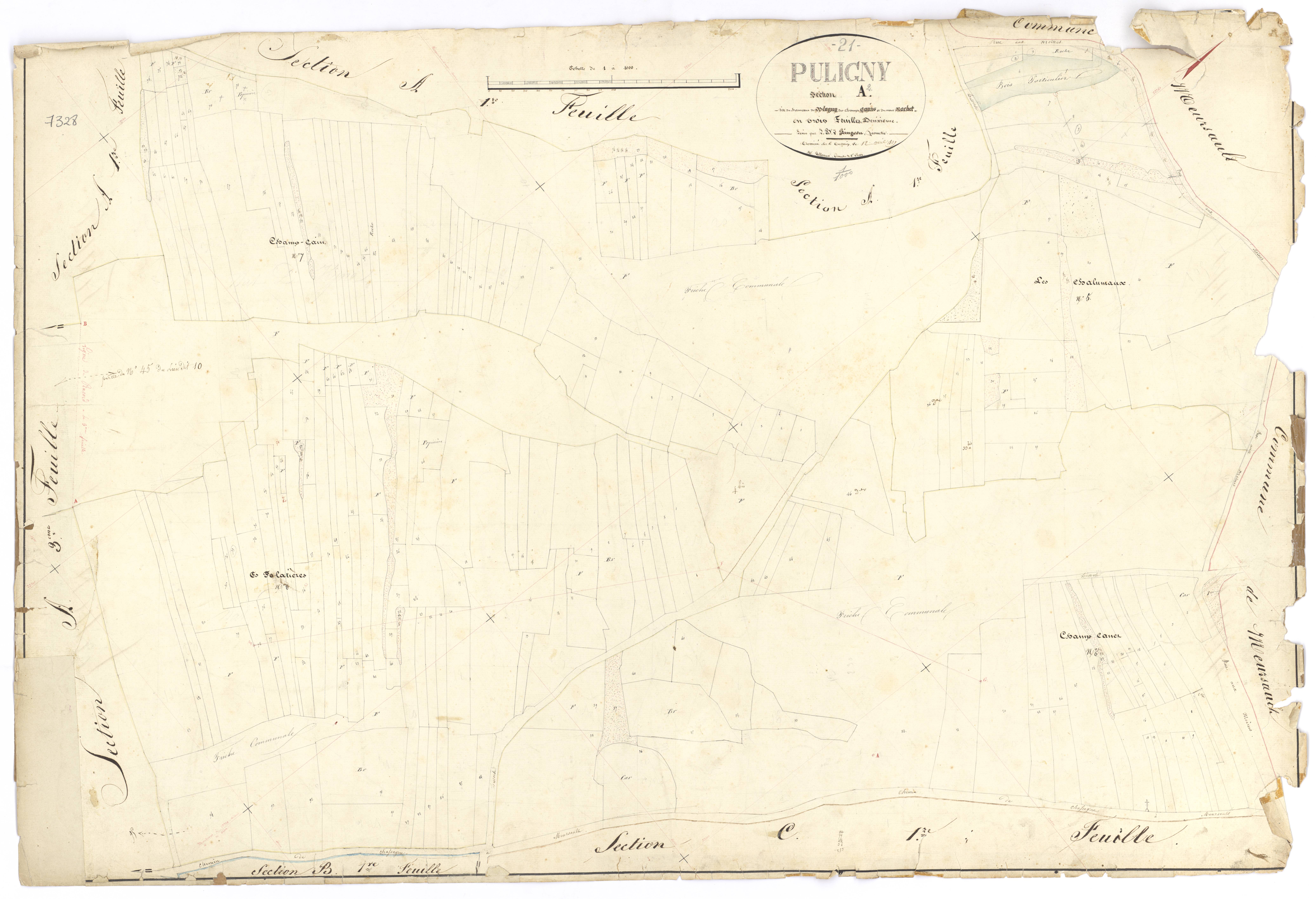 Puligny-Montrachet - Section A2 - 3 P PLAN 512/4