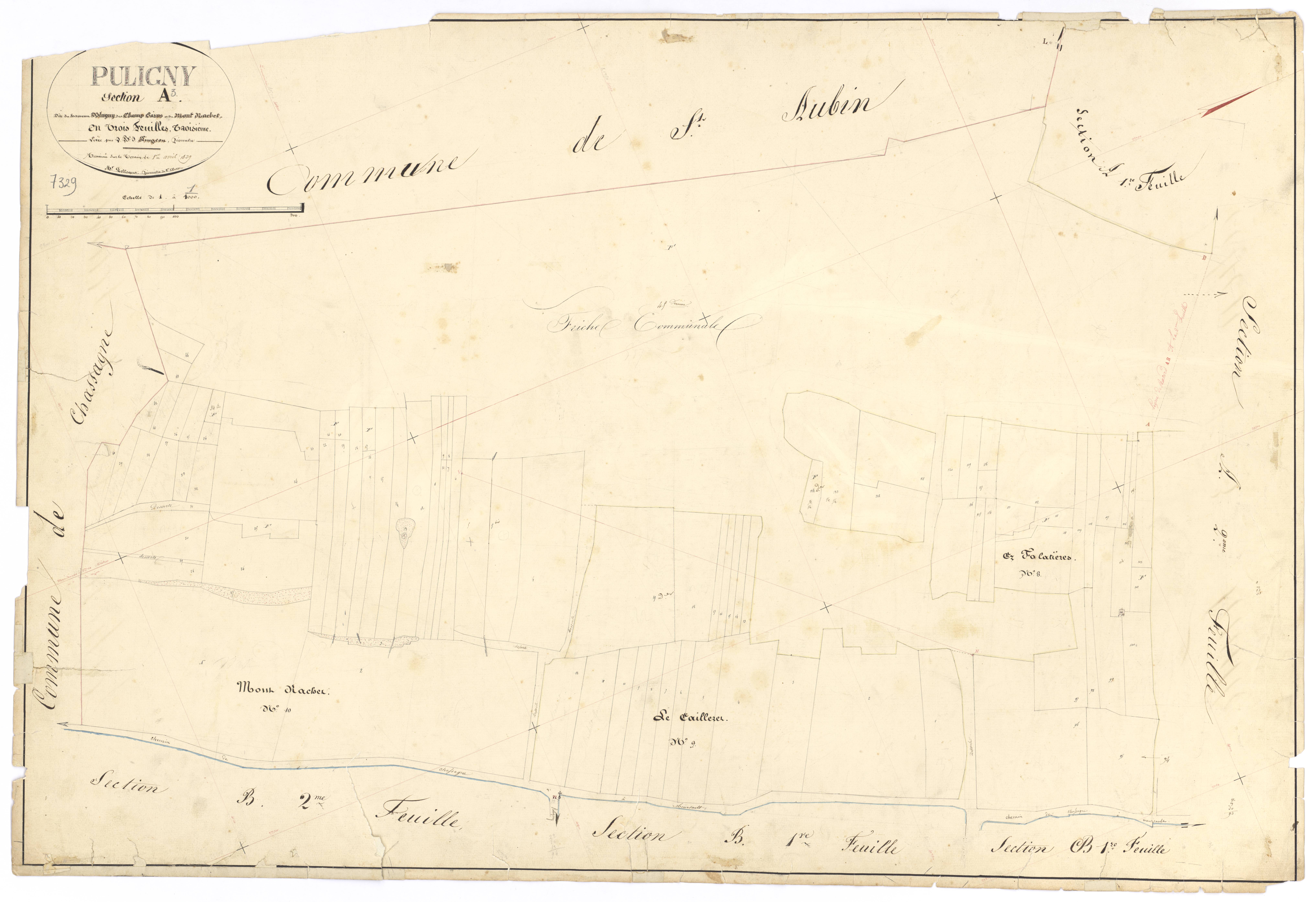 Puligny-Montrachet - Section A3 - 3 P PLAN 512/5