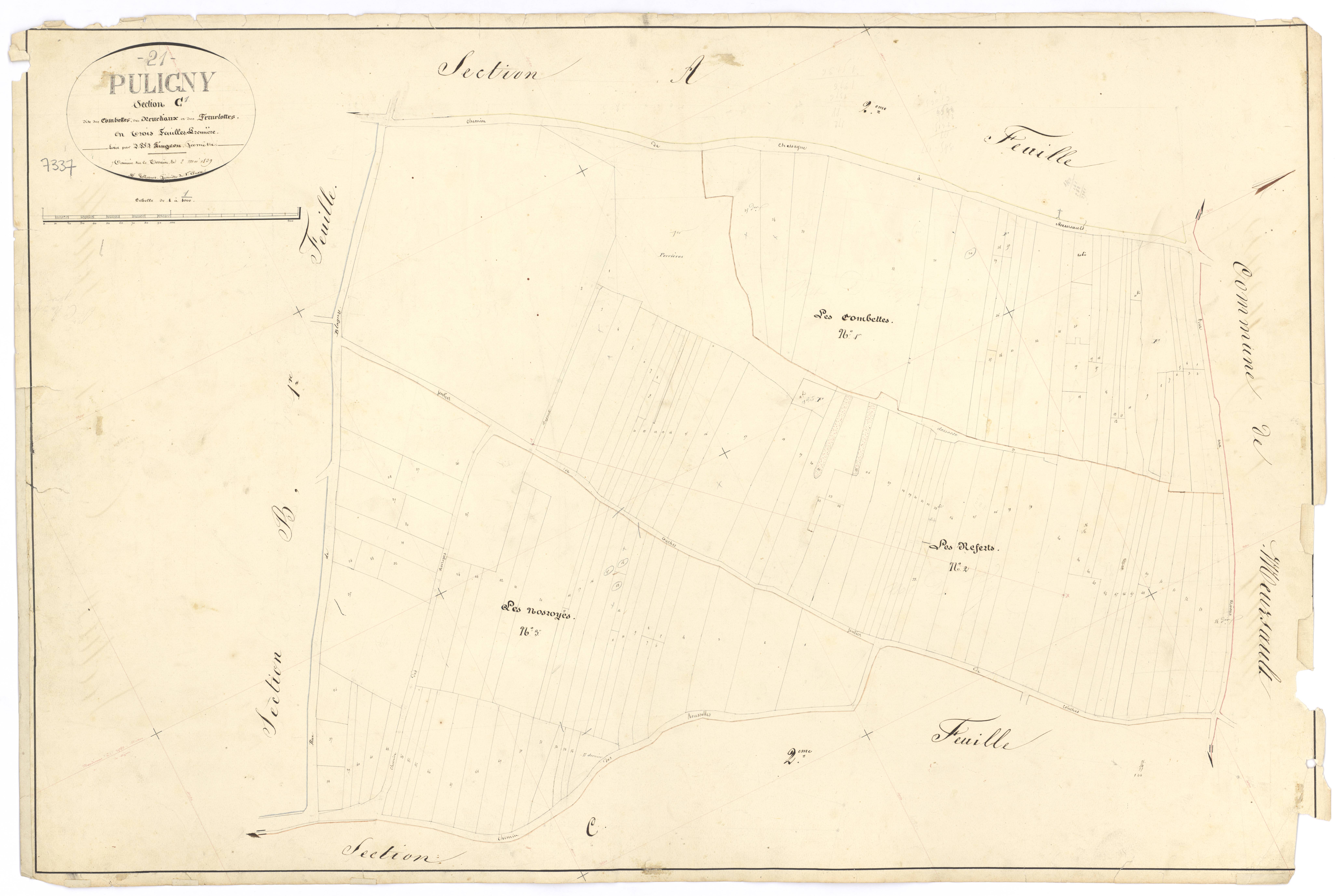 Puligny-Montrachet - Section C1 - 3 P PLAN 512/13