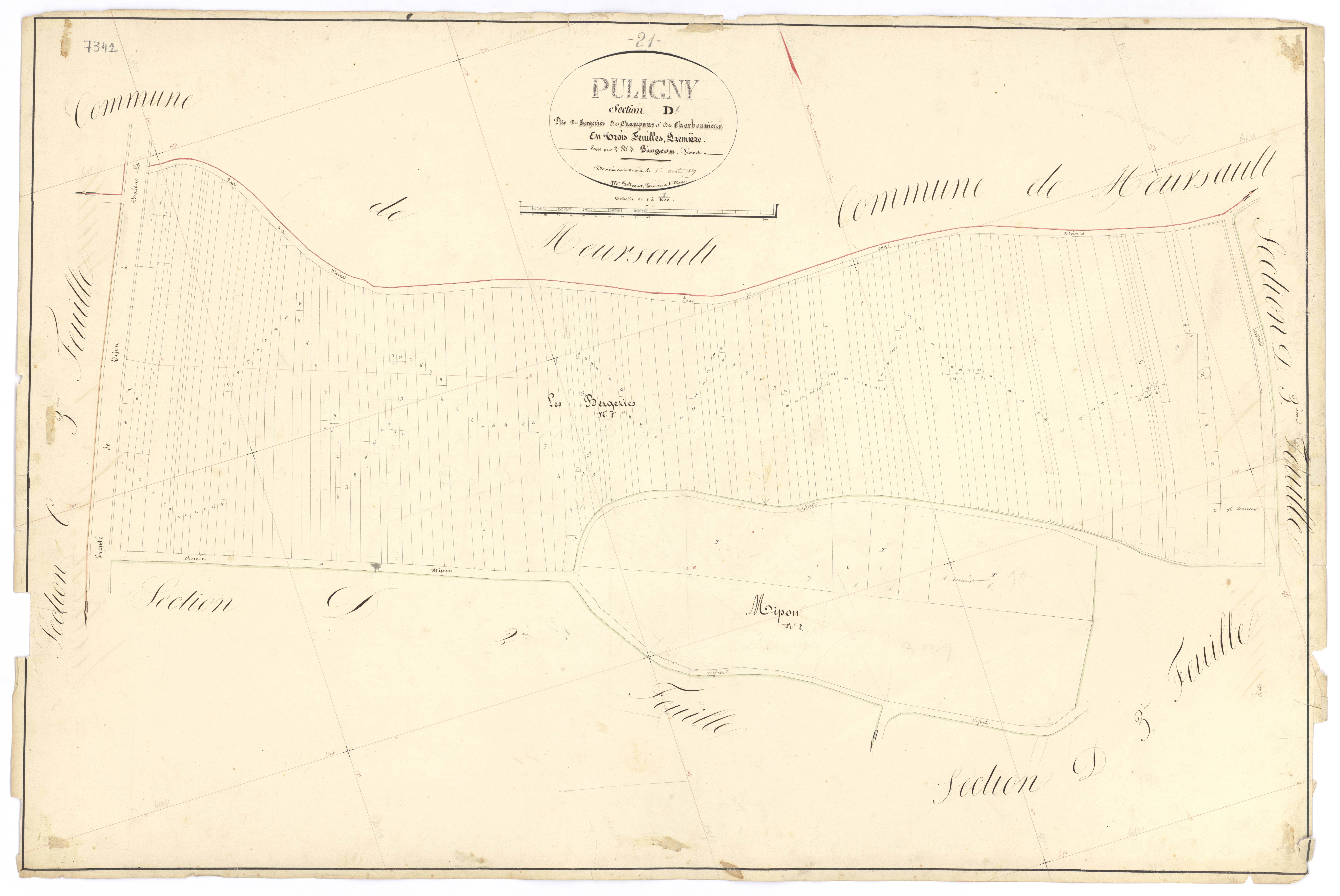Puligny-Montrachet - Section D1 - 3 P PLAN 512/17