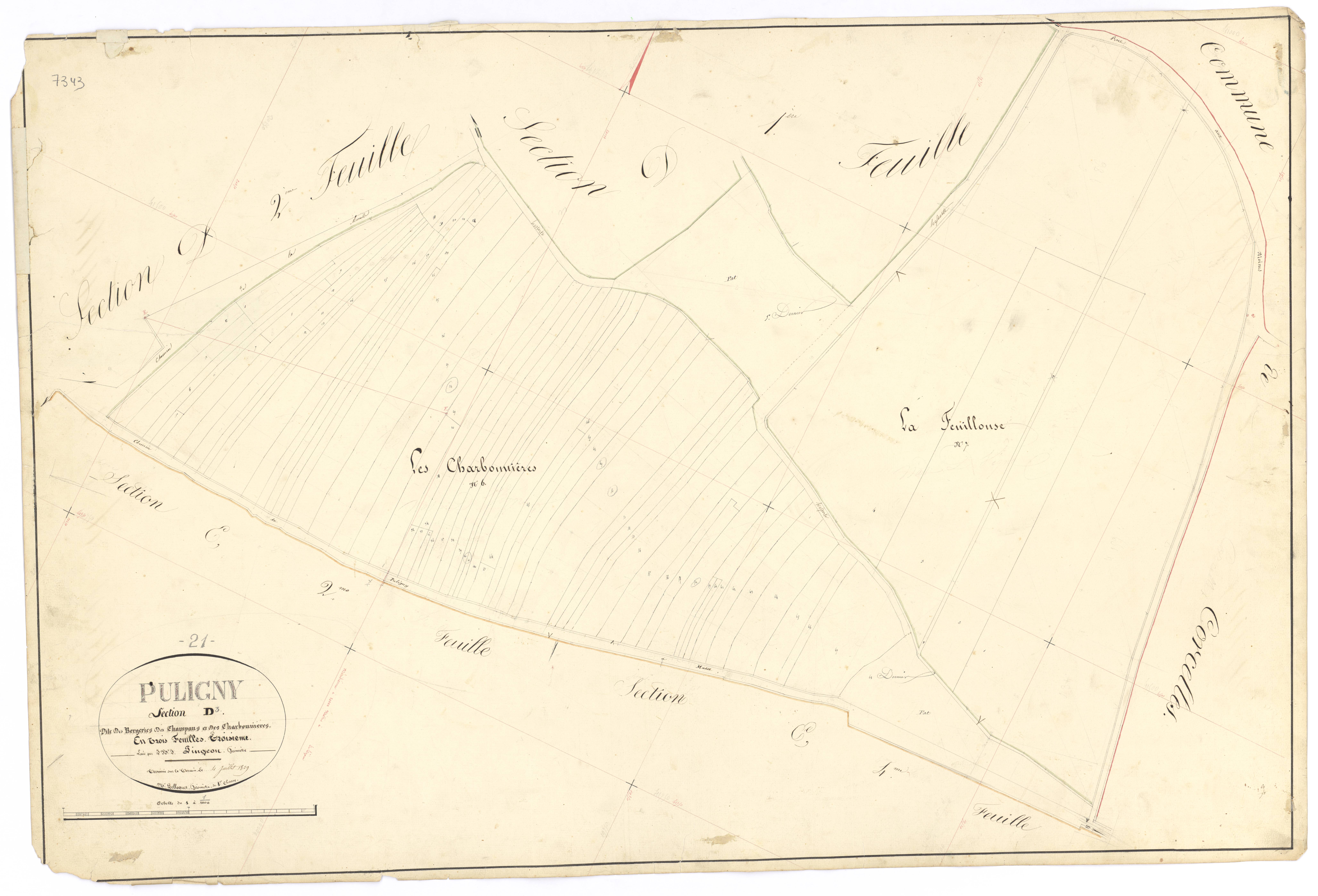 Puligny-Montrachet - Section D3 - 3 P PLAN 512/19