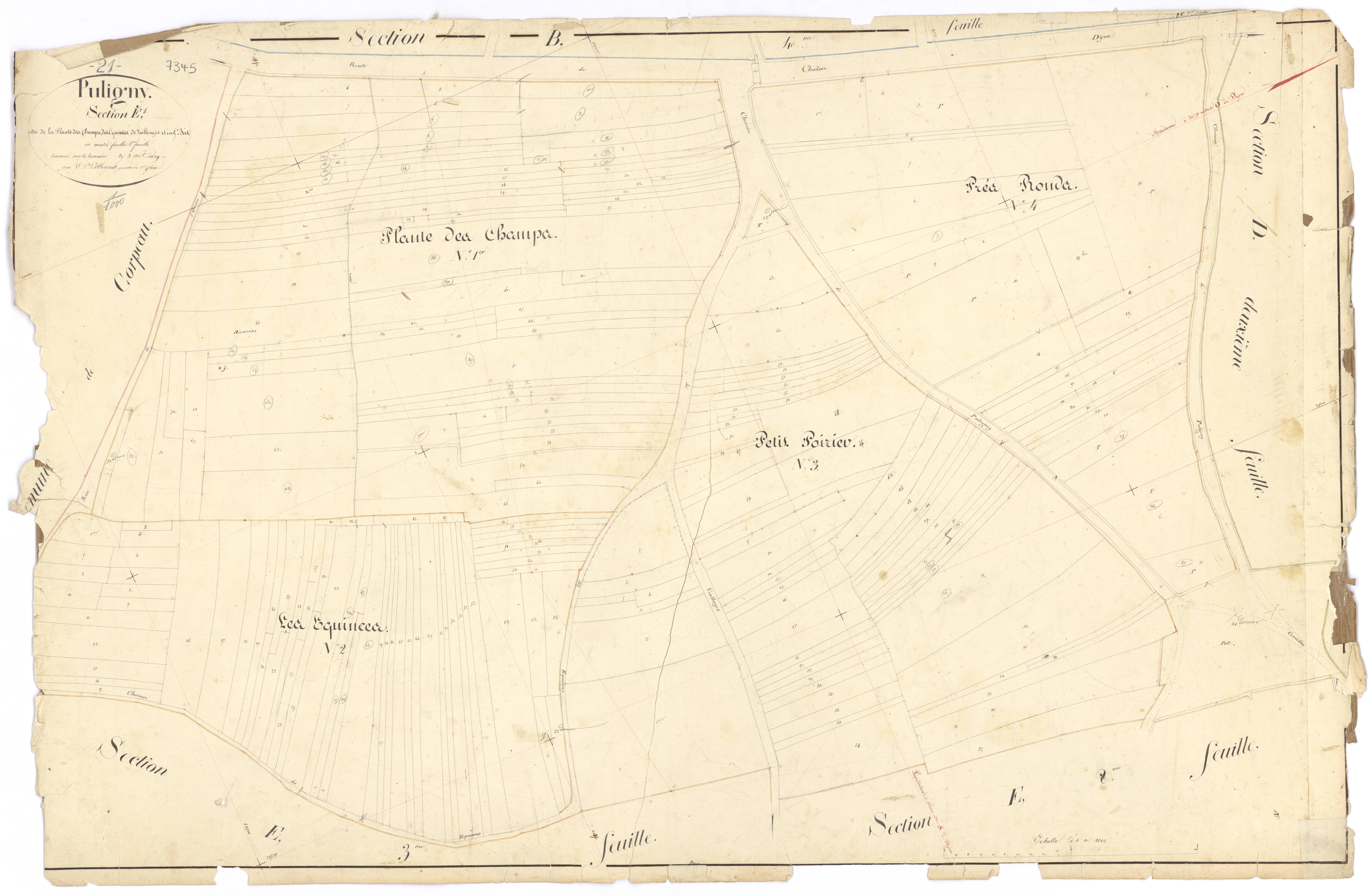 Puligny-Montrachet - Section E1 - 3 P PLAN 512/21