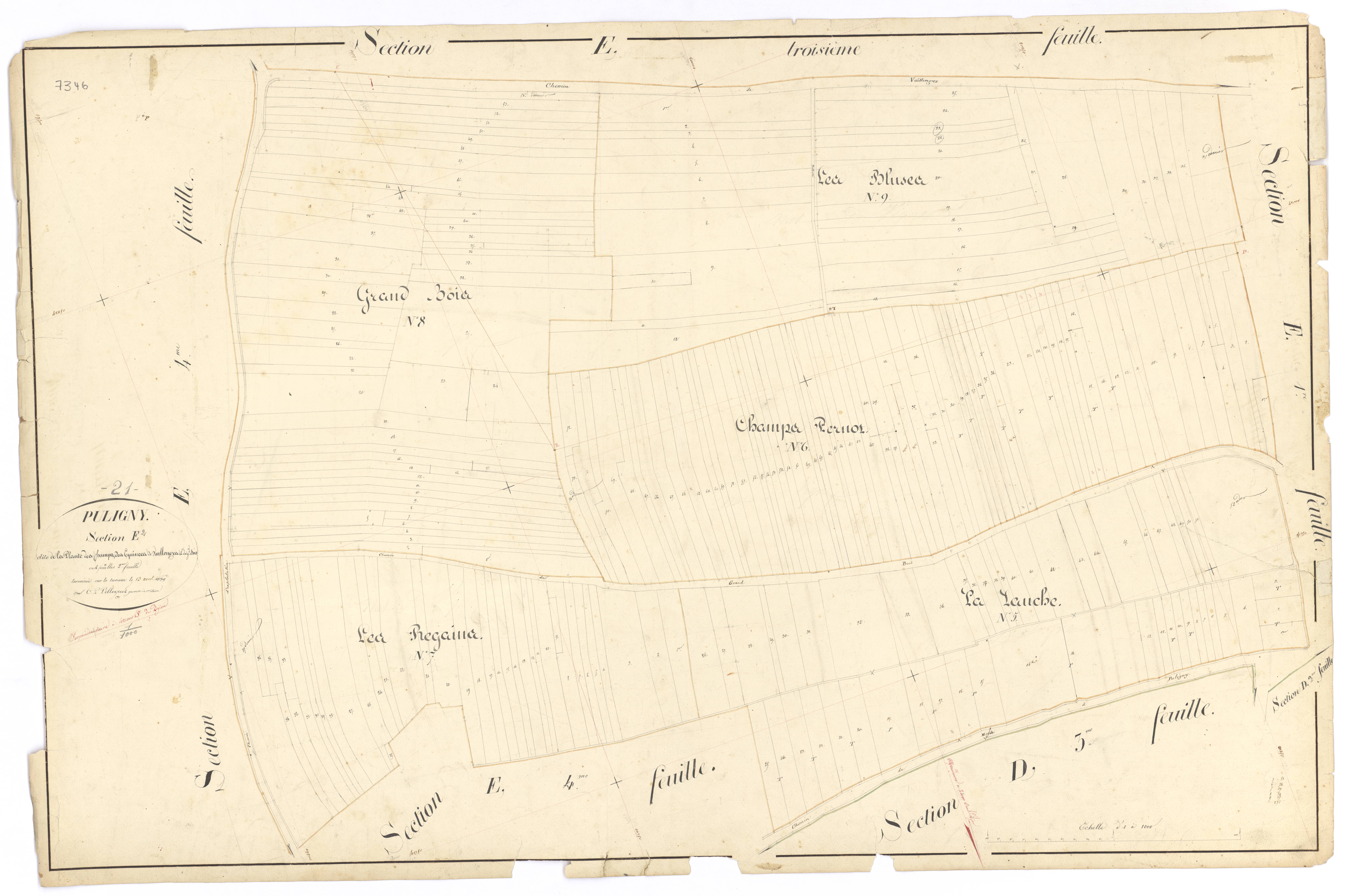 Puligny-Montrachet - Section E2 - 3 P PLAN 512/22