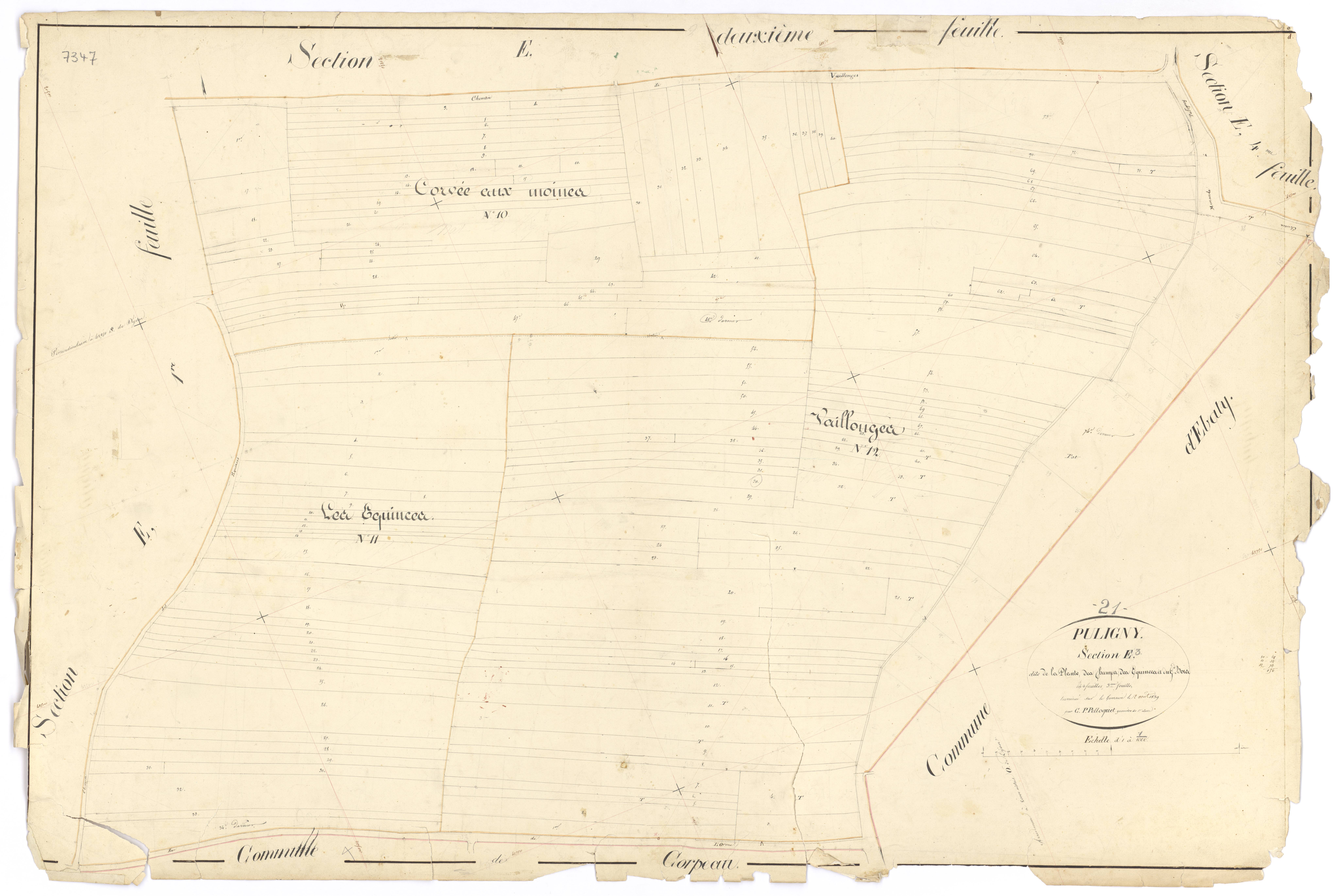 Puligny-Montrachet - Section E3 - 3 P PLAN 512/23