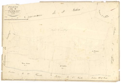 Puligny-Montrachet - Section A3 - 3 P PLAN 512/5