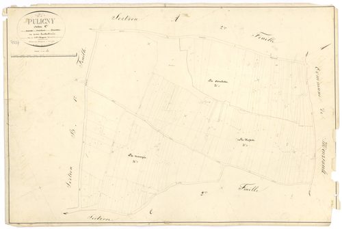 Puligny-Montrachet - Section C1 - 3 P PLAN 512/13