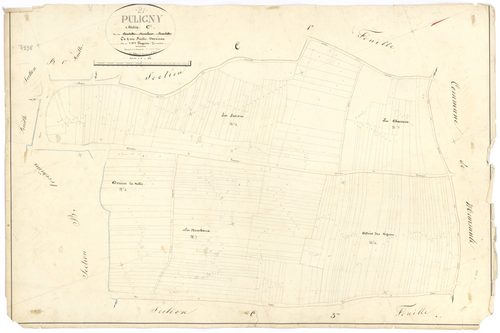 Puligny-Montrachet - Section C2 - 3 P PLAN 512/14