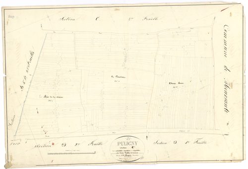 Puligny-Montrachet - Section C3 - 3 P PLAN 512/15