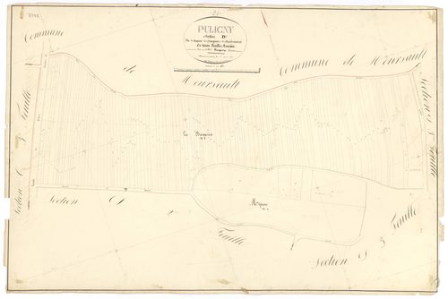 Puligny-Montrachet - Section D1 - 3 P PLAN 512/17