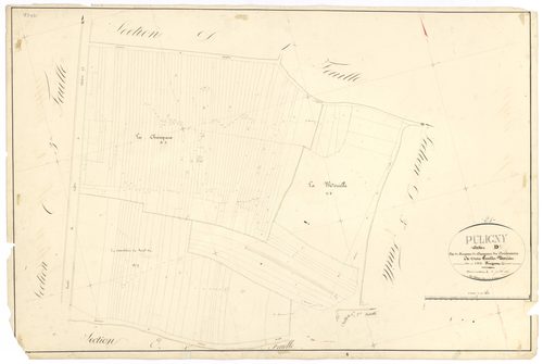 Puligny-Montrachet - Section D2 - 3 P PLAN 512/18