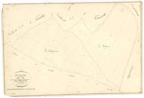 Puligny-Montrachet - Section D3 - 3 P PLAN 512/19