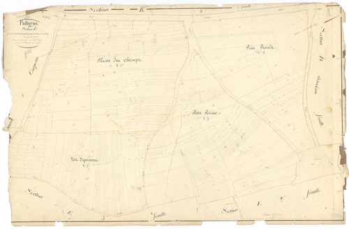 Puligny-Montrachet - Section E1 - 3 P PLAN 512/21