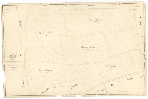 Puligny-Montrachet - Section E2 - 3 P PLAN 512/22
