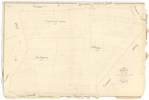 Puligny-Montrachet - Section E3 - 3 P PLAN 512/23