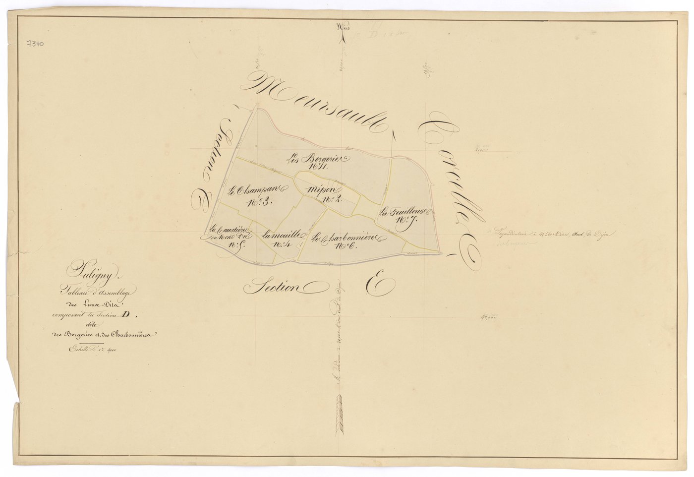Puligny-Montrachet - Section D (tableau d'assemblage) - 3 P PLAN 512/16