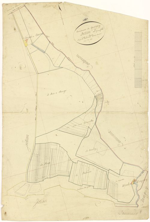Quetigny - Section D - 3 P PLAN 515/6
